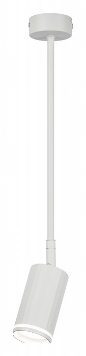 Фото Светильник на штанге Эра OL43 WH Б0058489 ER_B0058489 - интернет-магазин МегаТерем в Москве