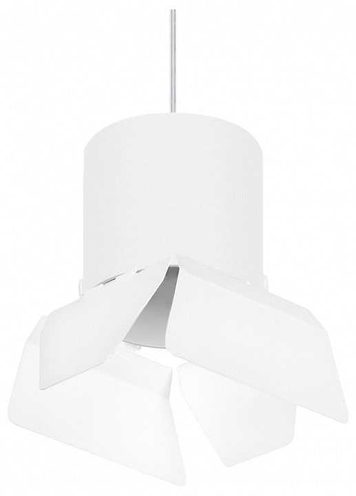 Фото Подвесной светильник Lightstar Rullo RP3486486 LS_RP3486486 - интернет-магазин МегаТерем в Москве