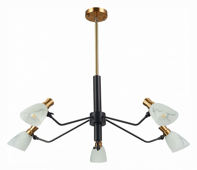 Фото Люстра на штанге EVOLUCE Lita SLE205403-05 EVO_SLE205403-05 - интернет-магазин МегаТерем в Москве