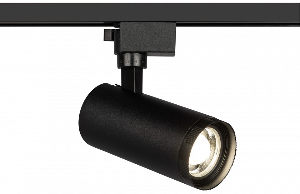 Фото Светильник на штанге Эра  TR59 - 2040 BK ER_B0054444 - интернет-магазин МегаТерем в Москве