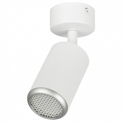 Спот Эра  OL55 WH/SL ER_B00...