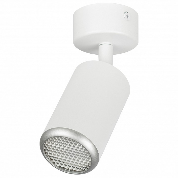 Фото Спот Эра  OL55 WH/SL ER_B0061890 - интернет-магазин МегаТерем в Москве