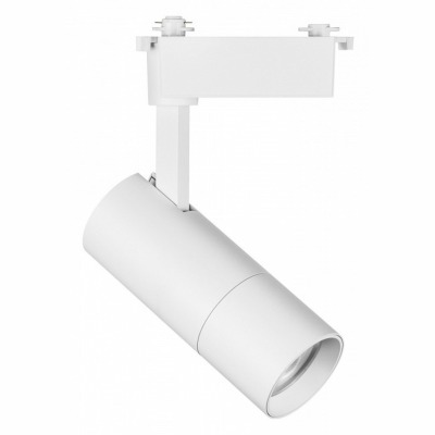 Светильник на штанге Lightstar Volta 229246 LS_229246