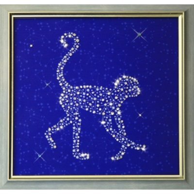 Картина Звездная обезьяна с...