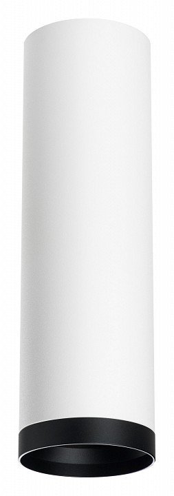 Фото Накладной светильник Lightstar Rullo R64963487 LS_R64963487 - интернет-магазин МегаТерем в Москве