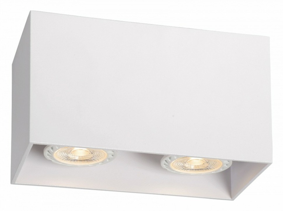 Фото Накладной светильник Lucide Bodi 09101/02/31 LCD_09101_02_31 - интернет-магазин МегаТерем в Москве