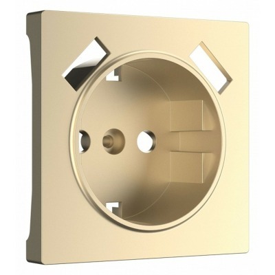 Накладка для розетки с заземлением и 2хUSB Werkel шампань W1179511 WRK_a050854