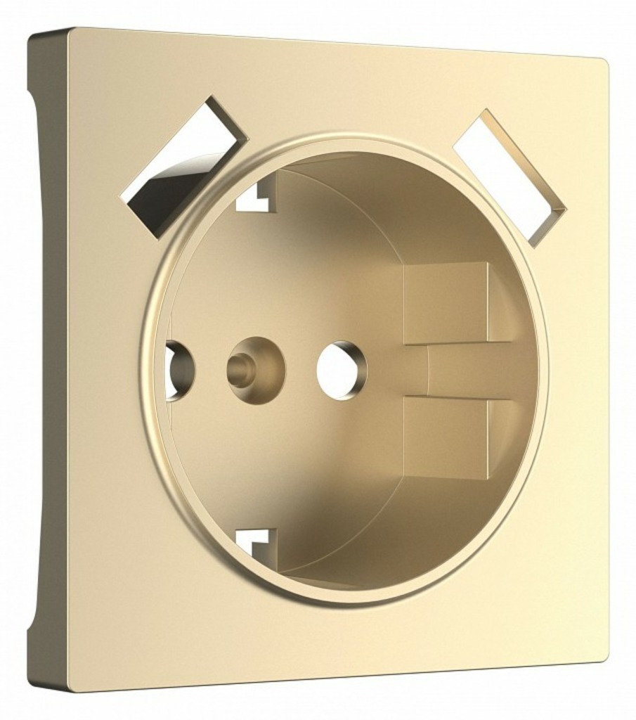 Фото Накладка для розетки с заземлением и 2хUSB Werkel шампань W1179511 WRK_a050854 - интернет-магазин МегаТерем в Москве