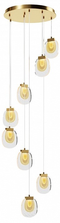 Фото Подвесной светильник Maytoni Biology MOD367PL-L30BBSK MY_MOD367PL-L30BBSK - интернет-магазин МегаТерем в Москве