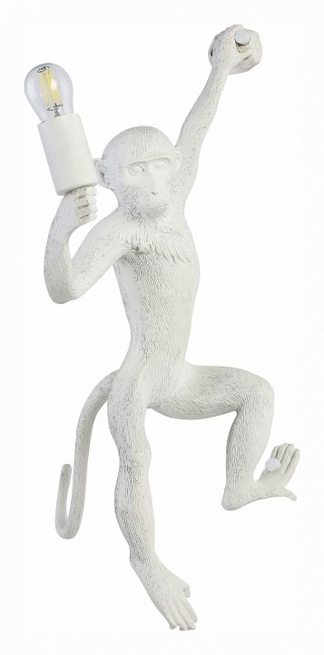 Фото Накладной светильник EVOLUCE Tenato SLE115111-01 EVO_SLE115111-01 - интернет-магазин МегаТерем в Москве