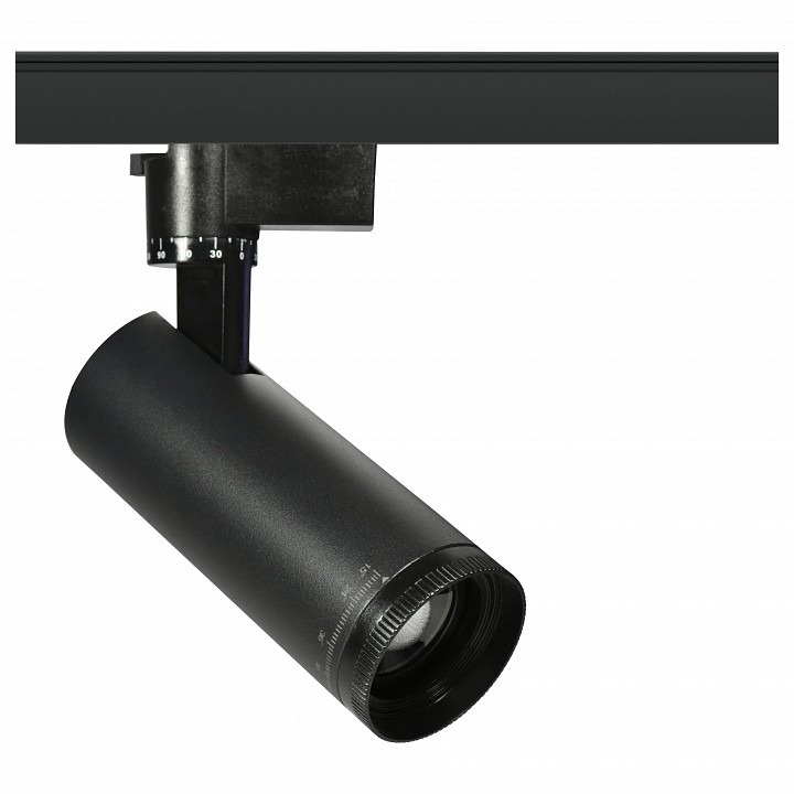 Фото Светильник на штанге Эра  TR59 - 3030 BK ER_B0054447 - интернет-магазин МегаТерем в Москве