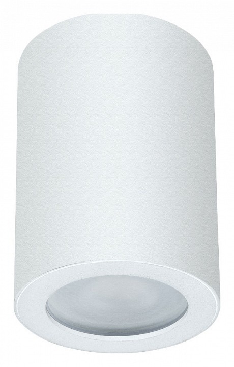 Фото Накладной светильник Arte Lamp Tino A1468PL-1WH AR_A1468PL-1WH - интернет-магазин МегаТерем в Москве