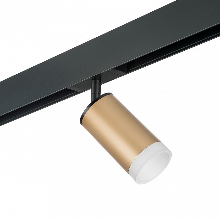 Фото Светильник на штанге Lightstar Rullo PRO44030 LS_PRO44030 - интернет-магазин МегаТерем в Москве