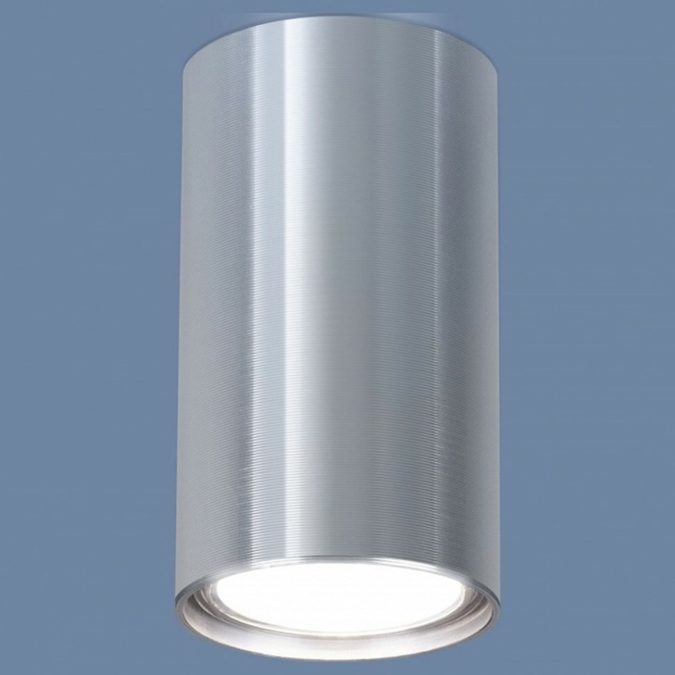 Фото Накладной светильник Elektrostandard 1081 a038491 ELK_a038491 - интернет-магазин МегаТерем в Москве