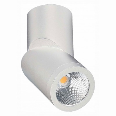 Светильник на штанге ST-Luc...