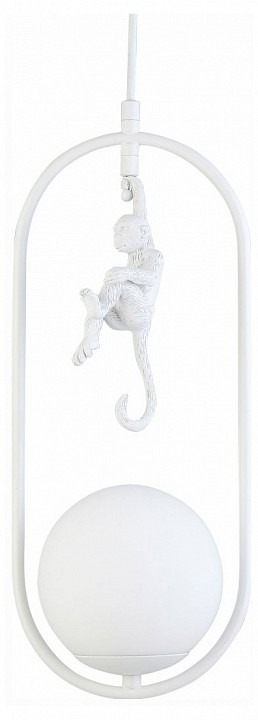 Фото Подвесной светильник EVOLUCE Tenato SLE115123-01 EVO_SLE115123-01 - интернет-магазин МегаТерем в Москве