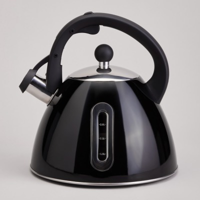 Чайник со свистком и мерной...