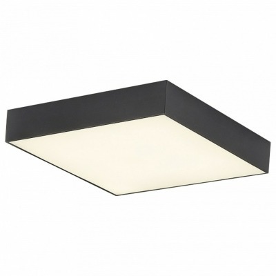 Накладной светильник Citilu...