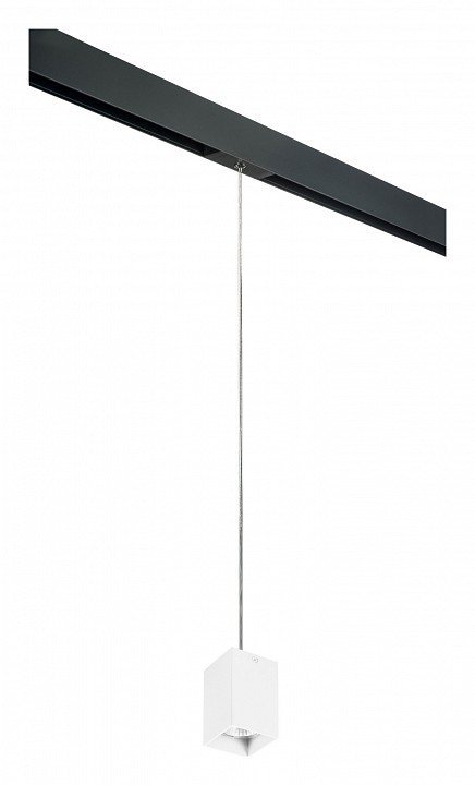 Фото Подвесной светильник Lightstar Rullo PRORP336 LS_PRORP336 - интернет-магазин МегаТерем в Москве