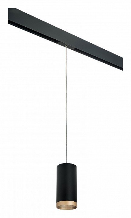 Фото Подвесной светильник Lightstar Rullo PRORP648790 LS_PRORP648790 - интернет-магазин МегаТерем в Москве