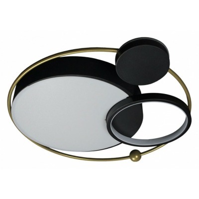 Накладной светильник Loft it Mike 10064 LF_10064