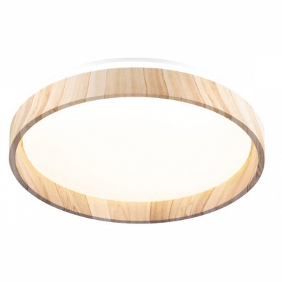 Накладной светильник Citilux ENZO CL753352G