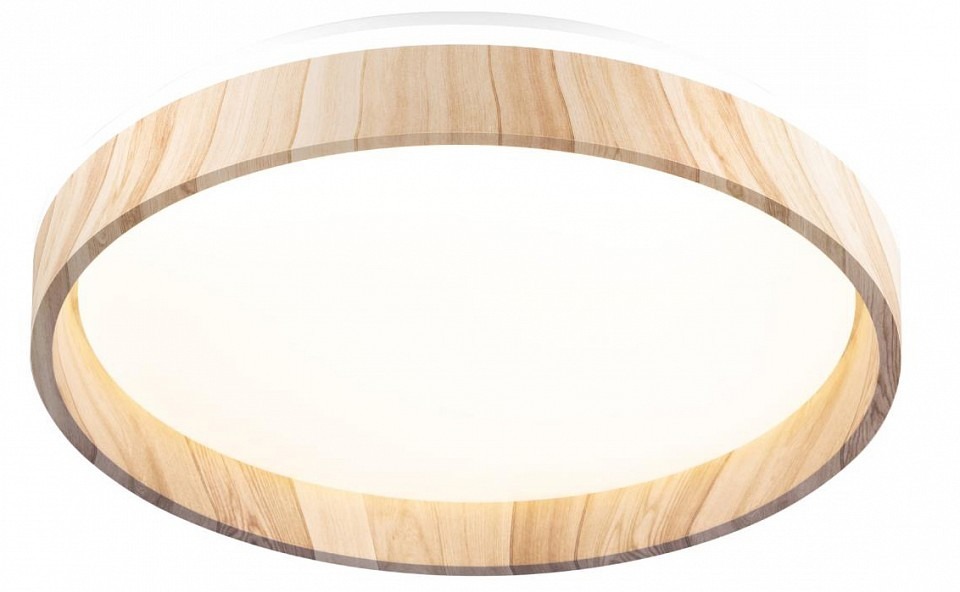 Фото Накладной светильник Citilux ENZO CL753352G - интернет-магазин МегаТерем в Москве