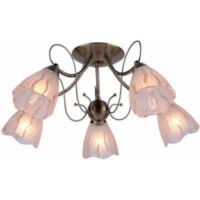 Потолочная люстра Arte Lamp...
