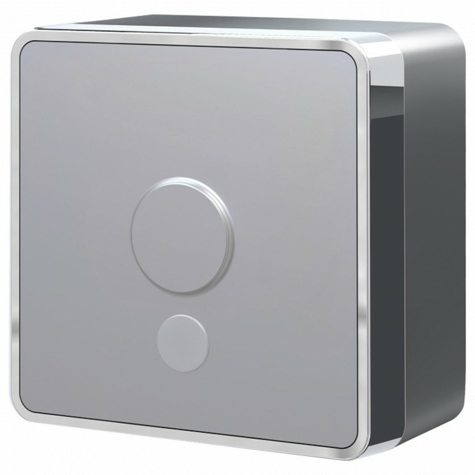 Фото Розетка для вывода кабеля без рамки Werkel Gallant (серебряный) W5050206 WRK_a052772 - интернет-магазин МегаТерем в Москве