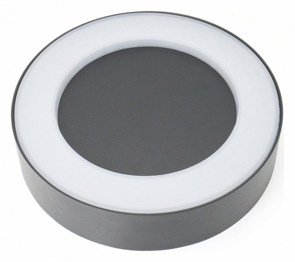 Фото Накладной светильник Favourite Washer 2865-1W FV_2865-1W - интернет-магазин МегаТерем в Москве