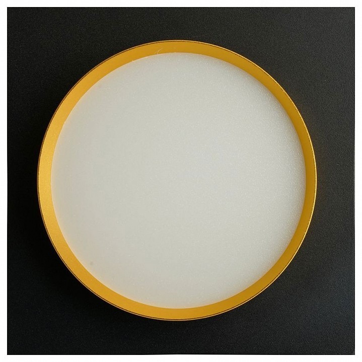 Фото Встраиваемый светильник Feron DL506 51364 FE_51364 - интернет-магазин МегаТерем в Москве