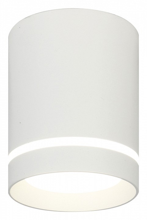 Фото Накладной светильник Escada 20009 20009SMU/01LED SWH ESC_20009SMU_01LED_SWH - интернет-магазин МегаТерем в Москве