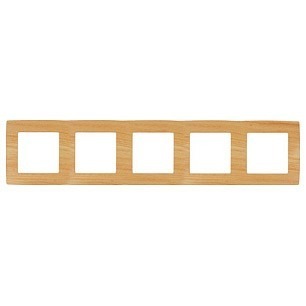 Фото Рамка на 5 постов Эра Эра 12 12-5005-11 ER_B0019150 - интернет-магазин МегаТерем в Москве