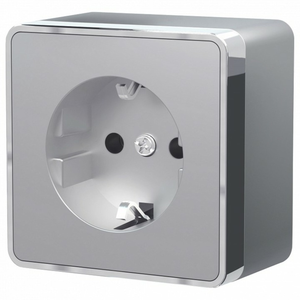 Фото Розетка с заземлением Werkel Gallant (серебряный) W5071006 WRK_a052773 - интернет-магазин МегаТерем в Москве