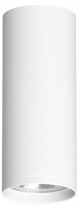 Фото Накладной светильник Denkirs DK2000 DK2051-WH DK_DK2051-WH - интернет-магазин МегаТерем в Москве