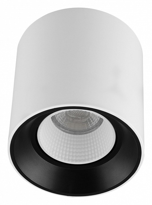 Фото Накладной светильник Denkirs Rodvig DK3090-WB+WH DK_DK3090-WB_WH - интернет-магазин МегаТерем в Москве