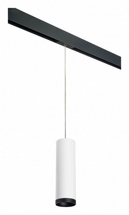 Фото Подвесной светильник Lightstar Rullo PRORP64963487 LS_PRORP64963487 - интернет-магазин МегаТерем в Москве