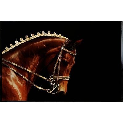 Картина Конь с кристаллами ...