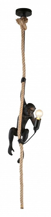 Фото Подвесной светильник Aployt Magali APL.309.16.01 AP_APL.309.16.01 - интернет-магазин МегаТерем в Москве