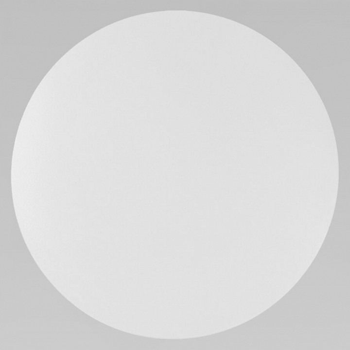 Фото Накладной светильник TK Lighting Luna 6009 Luna White EV_a065353 - интернет-магазин МегаТерем в Москве