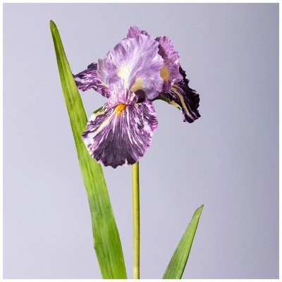 Цветок искусственный ирис в...