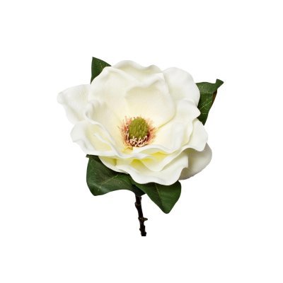 Магнолия белая 72см (12) (T...