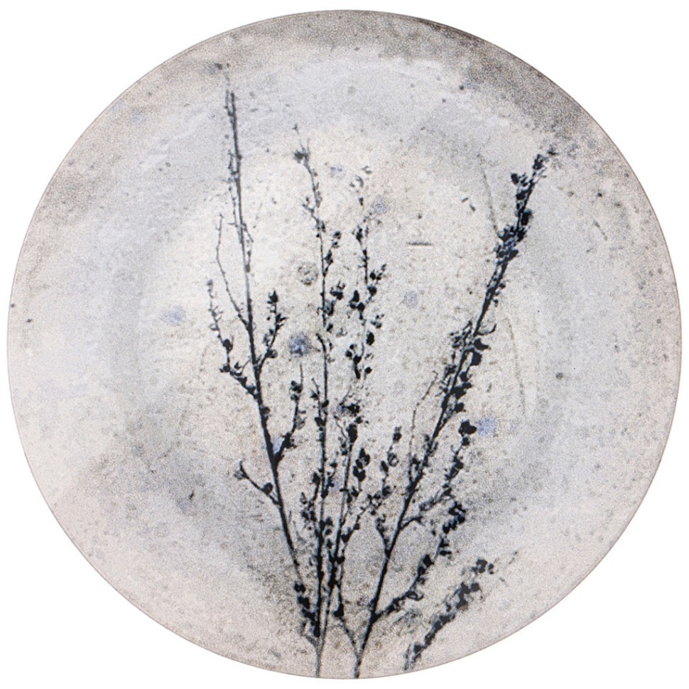 Фото Тарелка обеденная provence 25см без упак. Bronco (640-047) - интернет-магазин МегаТерем в Москве