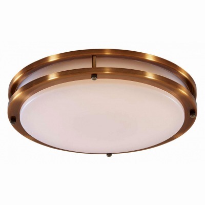 Накладной светильник Citilux Бостон CL709323N