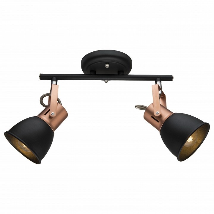 Фото Спот Arte Lamp Jovi A1677PL-2BK AR_A1677PL-2BK - интернет-магазин МегаТерем в Москве