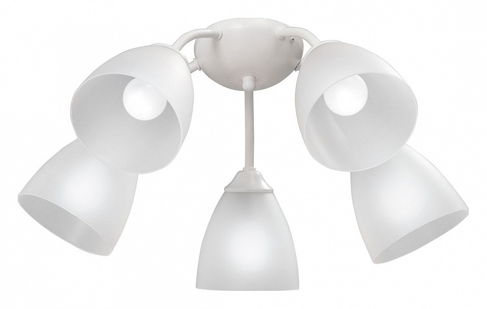 Фото Потолочная люстра Vitaluce V3737 V3737-0/5PL VI_V3737-0_5PL - интернет-магазин МегаТерем в Москве