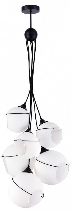 Фото Подвесная люстра EVOLUCE Satturo SLE103143-06 EVO_SLE103143-06 - интернет-магазин МегаТерем в Москве