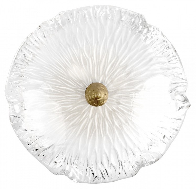 Фото Накладной светильник Loft it Bloom 10352W/B AB LF_10352W_B_AB - интернет-магазин МегаТерем в Москве