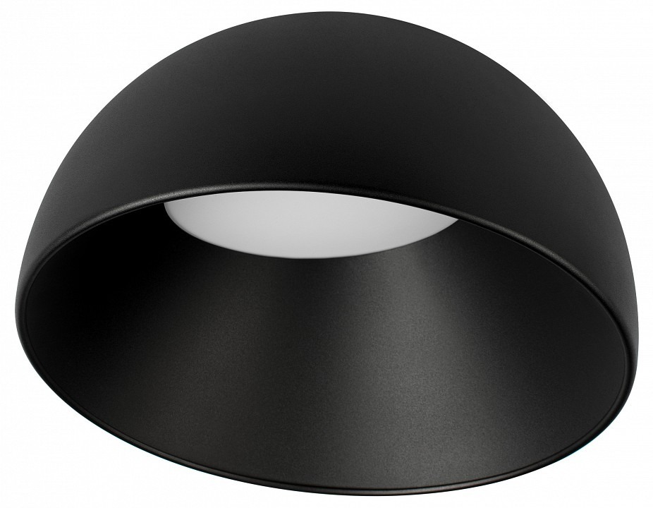 Фото Накладной светильник Loft it Egg 10197/350 BB LF_10197_350_BB - интернет-магазин МегаТерем в Москве