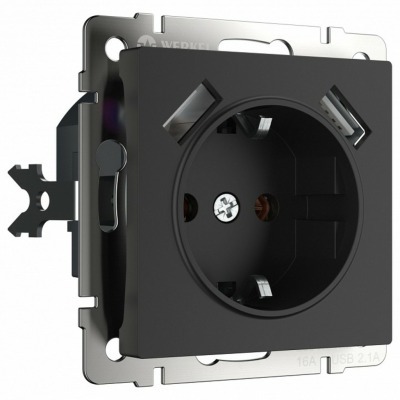 Розетка с заземлением и со шторками и 2хUSB, без рамки Werkel черный матовый W1171508 WRK_a051617
